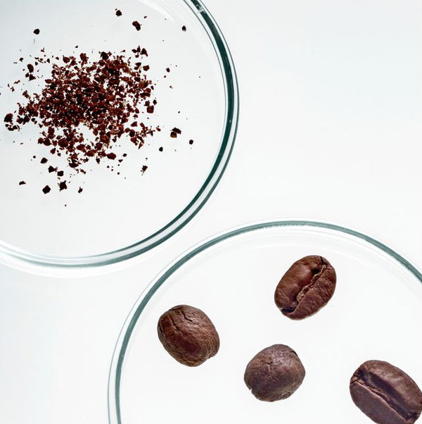 Caffeine Extract