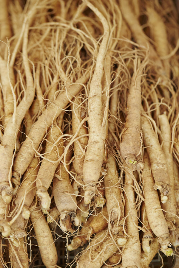 Ginseng Extract