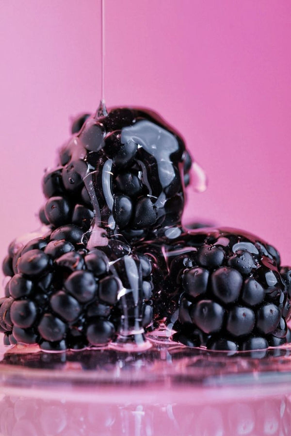 Mulberry Extract