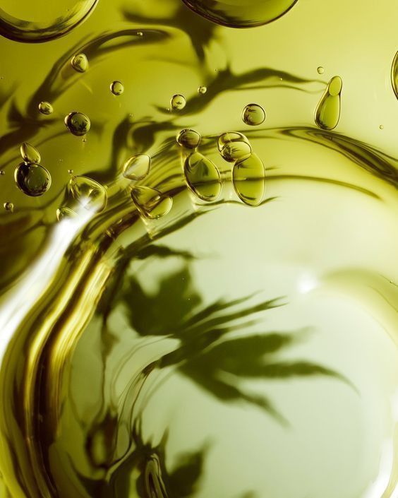 Tea Tree Extract