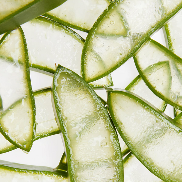 Aloe vera Extract